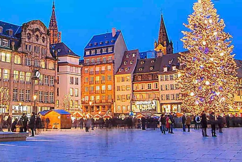 Cozy Rental Spa Schiltigheim Eksteriør billede